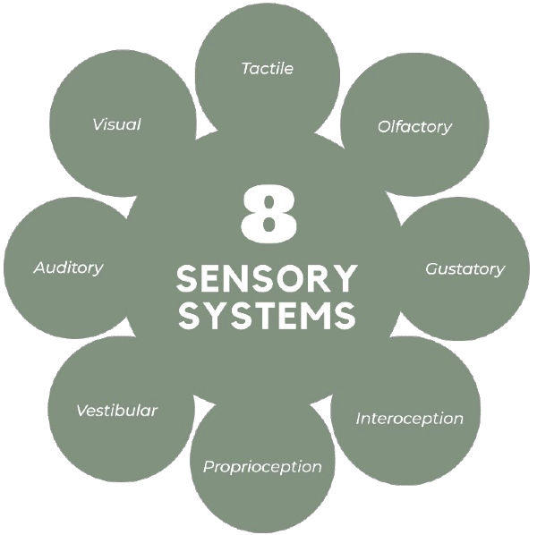 What Are the 8 Sensory Systems? - Sensory for Dementia